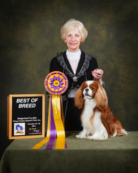 Badgerland Cavalier King Charles Spaniel Club, October 2014