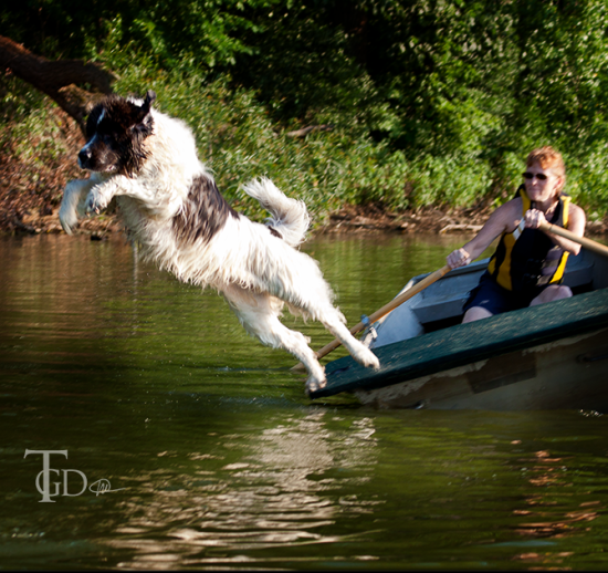 Newfoundland Water Test Practice, Camp Rotamer, August 3, 2011