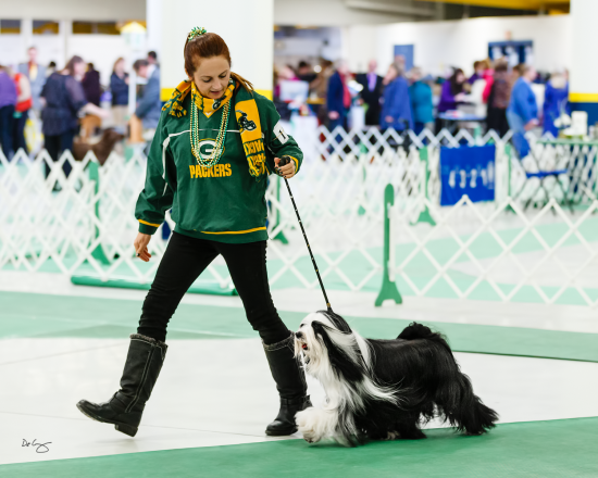 Oshkosh & Winnegamie KC's weekend, January 2015